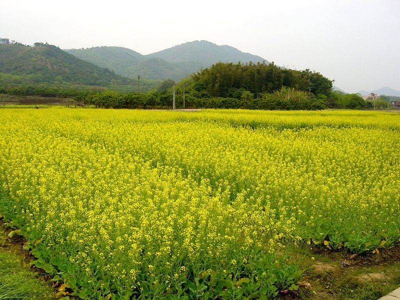 南昆山